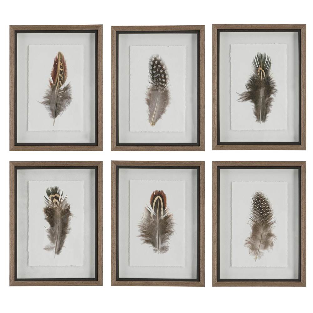 Uttermost Uttermost Birds Of A Feather Framed Prints, S/6