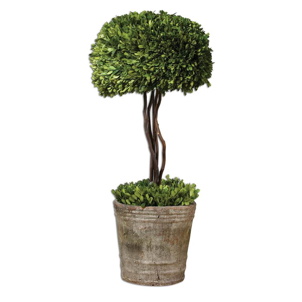 Uttermost Uttermost Tree Topiary Preserved Boxwood